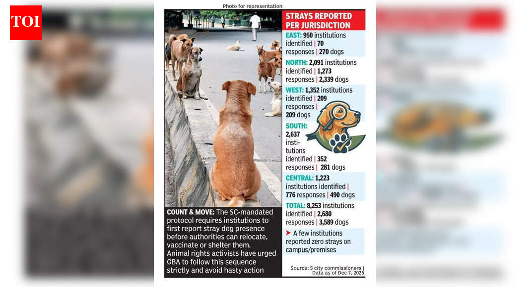 Supreme Court-mandated drive: Bengaluru logs over 3,500 stray dogs around public institutions