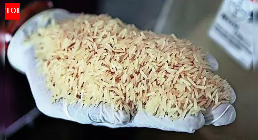 Trump's rice tariffs threat unlikely to have severe impact on exports