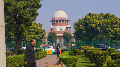 EC can't determine voter's citizenship, but surely inquire into it: Supreme Court