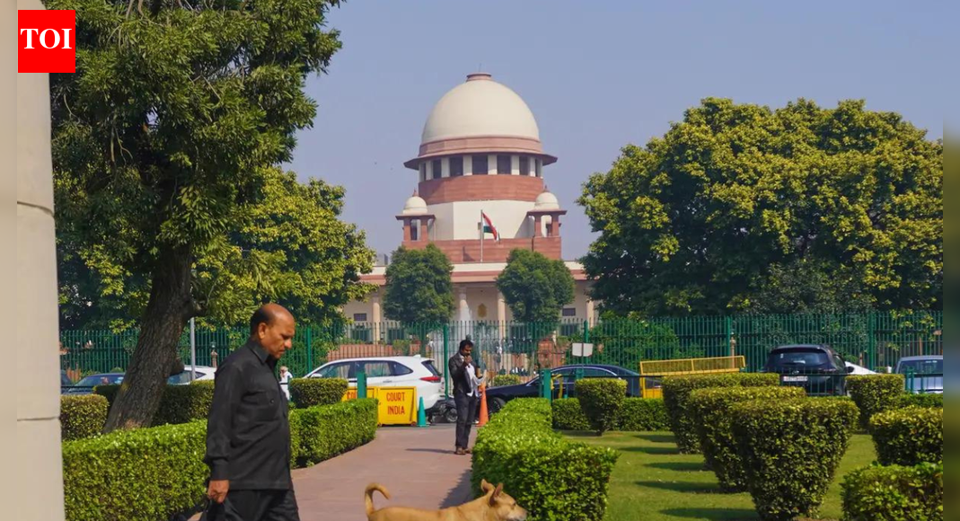<div>EC can't determine voter's citizenship, but surely inquire into it: Supreme Court</div>