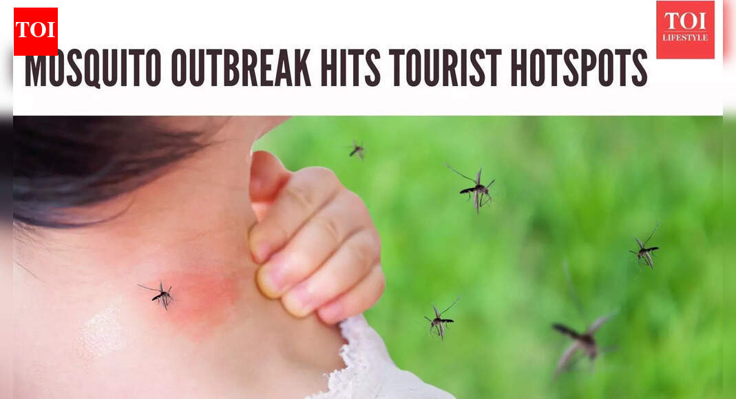 Travelling soon? An untreatable mosquito disease is exploding across 4 countries, CDC warns Americans