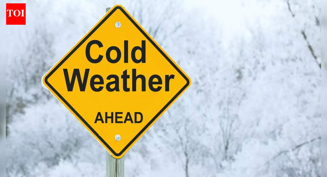 IMD issues fresh alerts: Dense fog and sharp temperature drops may impact holiday travel plans in north and east India