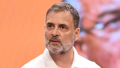'Videsh nayak': BJP takes dig at 'paryatan leader' Rahul Gandhi; Congress leader to be in Germany from Dec 15–20