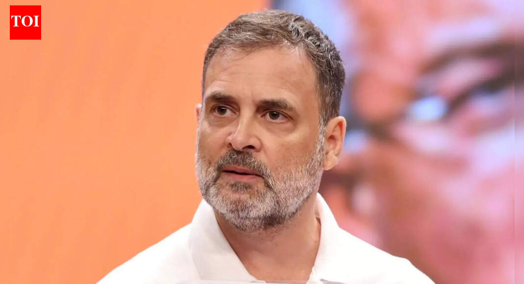 'Videsh nayak': BJP takes dig at 'paryatan leader' Rahul Gandhi; Congress leader to be in Germany from Dec 15–20