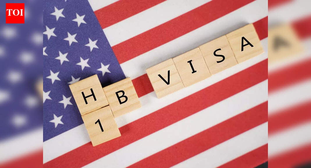 H‑1B visa interviews deferred to 2026: 5 ways Indian applicants can navigate the delay