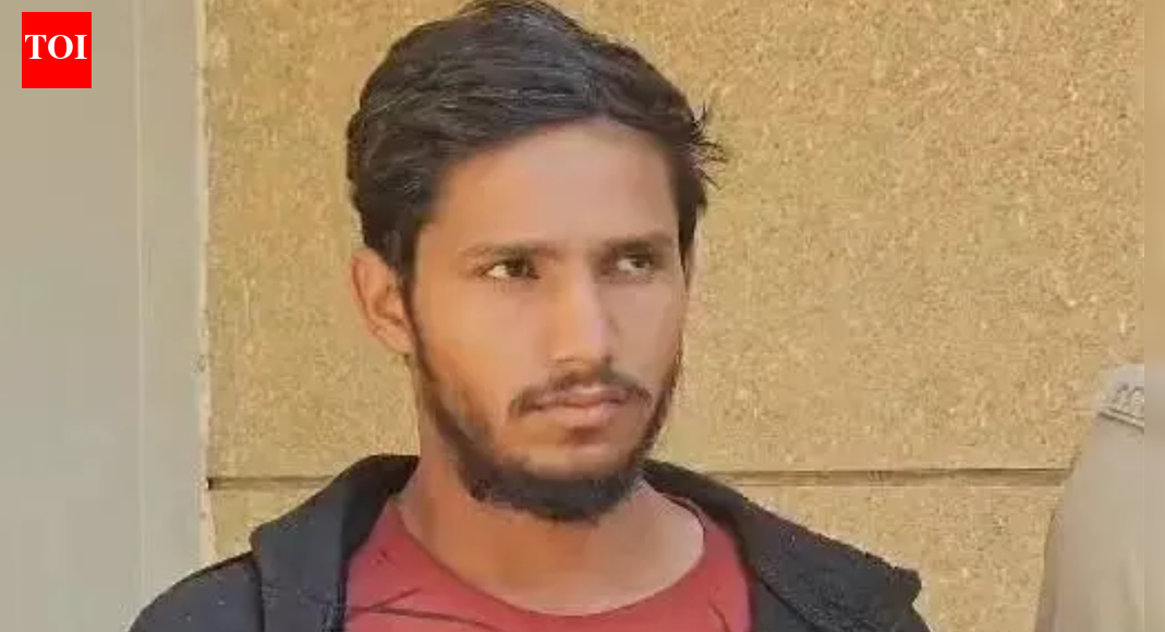 Gujarat teen chops friend into pieces over affairs