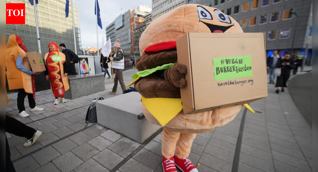 <div>Veggie 'burgers' under fire: Why is Europe planning to ban names of plant-based foods? Proposal lists 29 terms</div>