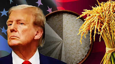 Tiny US Share in India’s Rice Shipments, But Trump Revives Tariff Threat