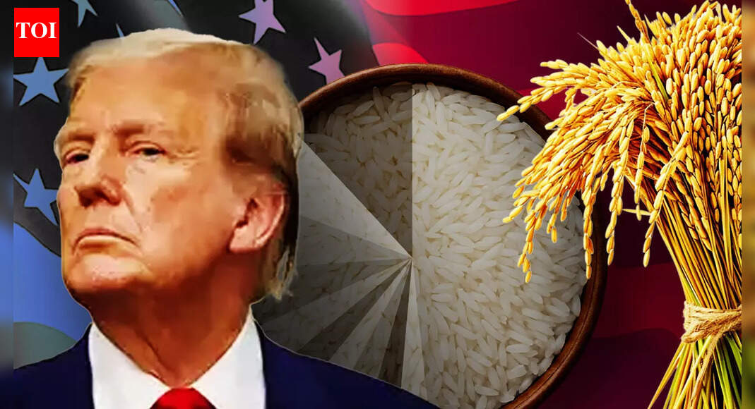 Tiny US Share in India’s Rice Shipments, But Trump Revives Tariff Threat