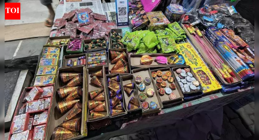 Diwali 2023: 2k calls on flouting of Delhi’s cracker ban, just 96 FIRs filed; RTI, Warrior Moms flag enforcement gaps