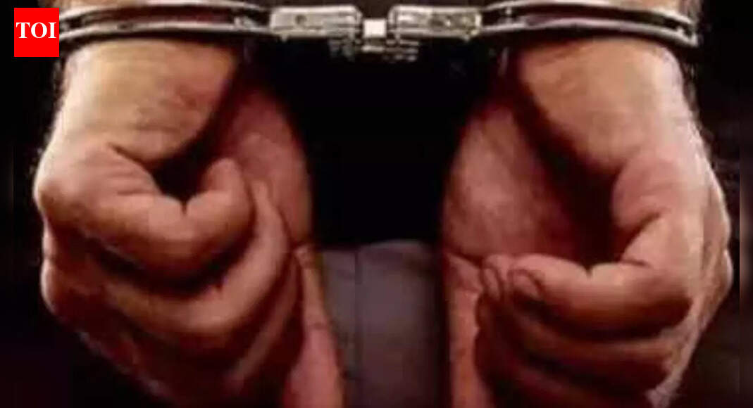 Emirates flight crew member caught with Rs 11.5 crore gold at Chennai airport; five held | Chennai News