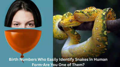 Birth Numbers Who Easily Identify Snakes in Human Form-Are You One of Them?