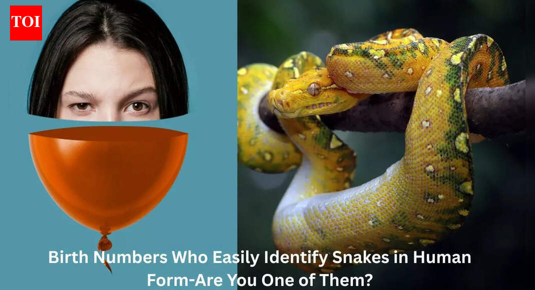 Birth Numbers Who Easily Identify Snakes in Human Form-Are You One of Them?