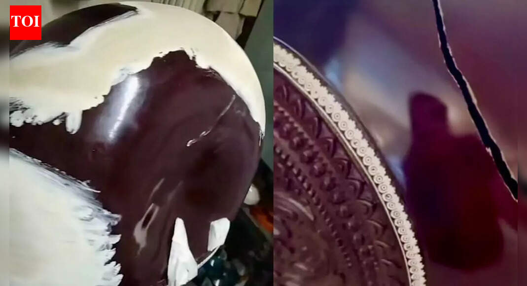 Airlines still out of tune with musicians, hit jarring note with instruments in flight