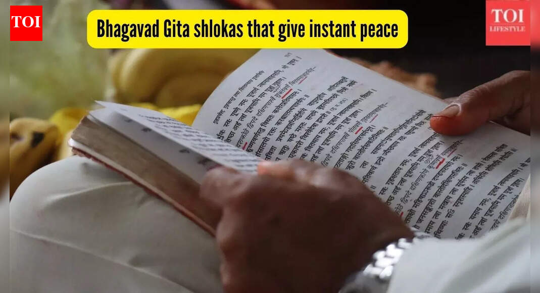 7 Bhagavad Gita shlokas that give instant peace