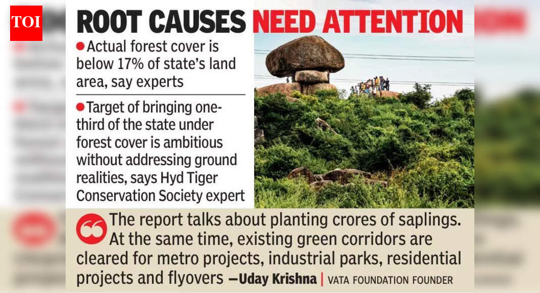 हरित वादे, धूसर अंतराल: विज़न 2047 कठिन पारिस्थितिक प्रश्नों का सामना करता है | हैदराबाद समाचार