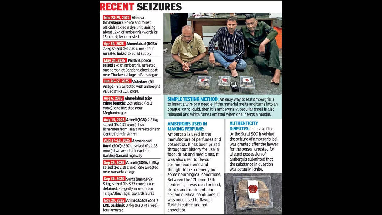 Amber-grift? Lab tests cast doubts over recent seizures | Rajkot News - The  Times of India
