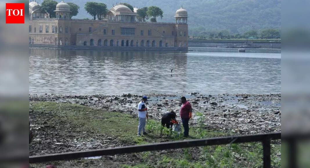 SC steps in to address Jal Mahal pollution