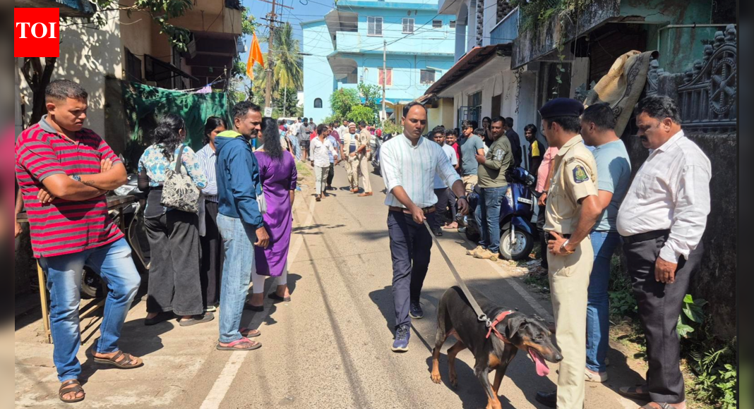 St Anthony statue vandalised at Vasco, culprit nabbed in hrs