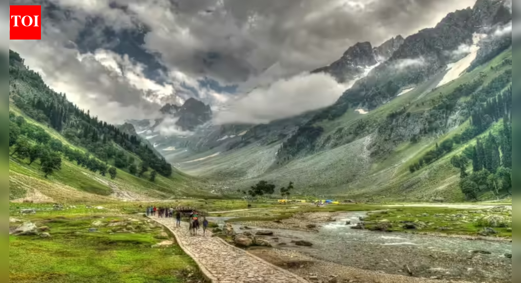 Chinese national sent back to Delhi from Kashmir