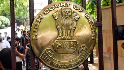 Delhi HC: Why did you let crisis precipitate? Failure on part of govt, DGCA