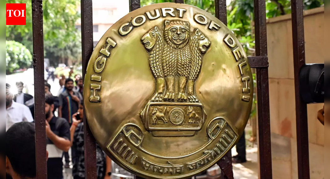 Delhi HC: Why did you let crisis precipitate? Failure on part of govt, DGCA