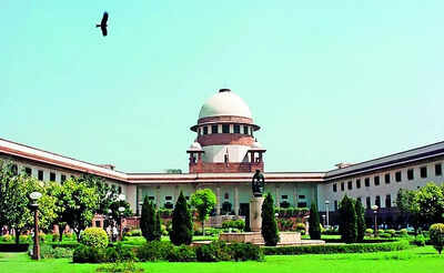 Restore Karnal green belt in 3 months, Supreme Court directs Haryana