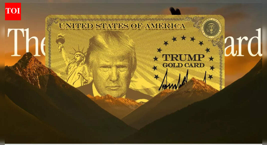What is Trump's Gold Card? Eligibility, benefits, price and how to apply - FAQs answered