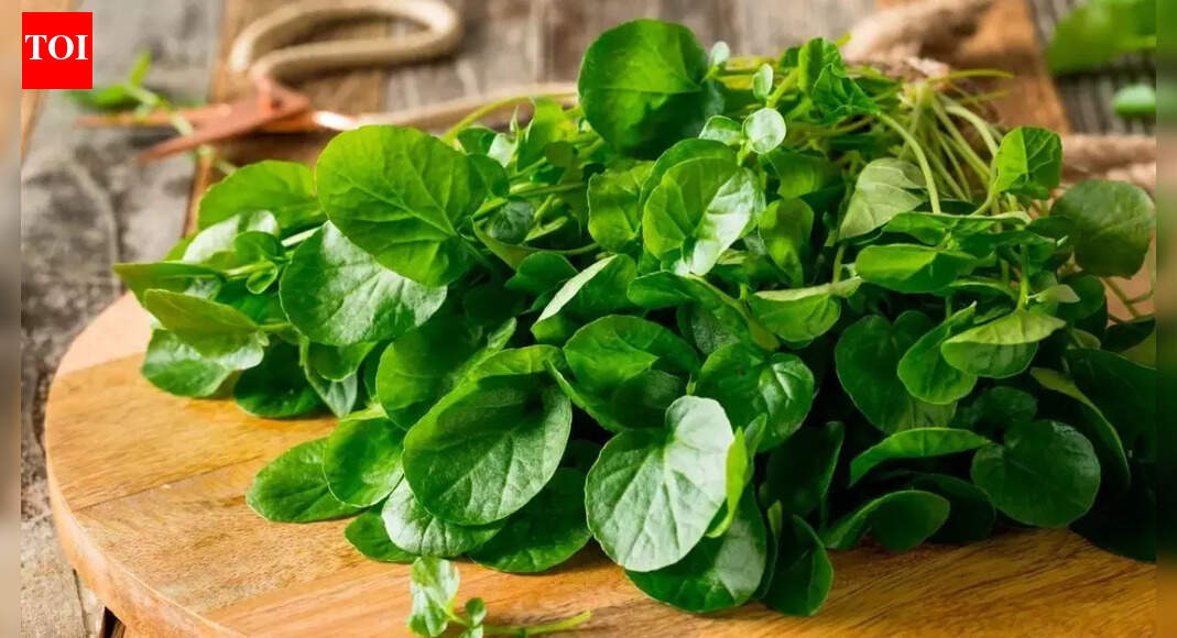 THIS is the healthiest vegetable according to CDC (not spinach, kale, or broccoli)