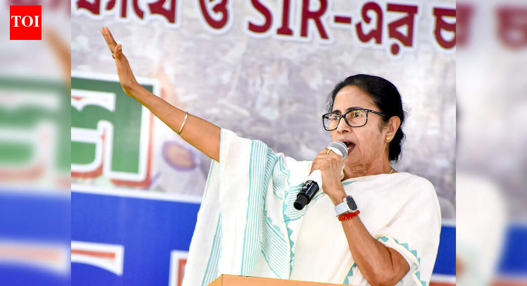 <div>'This is not Uttar Pradesh': Mamata Banerjee condemns assault on non-veg food vendors; three arrested</div>