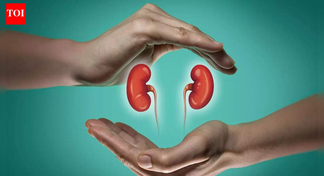 गुर्दे की पथरी को वापस आने से रोकने के लिए 5 दैनिक आदतें |