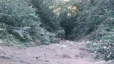 22 feared dead in Arunachal gorge tragedy