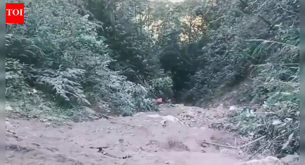 22 feared dead in Arunachal gorge tragedy