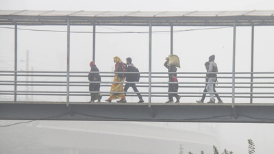 जहरीली हवा से लड़ने के लिए विश्व बैंक ने 600 मिलियन डॉलर की धनराशि मंजूर की; यूपी, हरियाणा की पहल को बढ़ावा