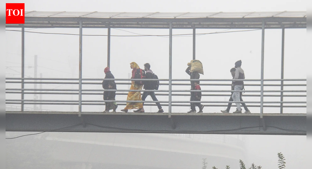 जहरीली हवा से लड़ने के लिए विश्व बैंक ने 600 मिलियन डॉलर की धनराशि मंजूर की; यूपी, हरियाणा की पहल को बढ़ावा | भारत समाचार