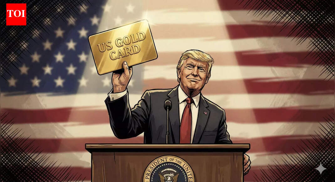 Donald Trump's Gold Card: Every visa that exists in America