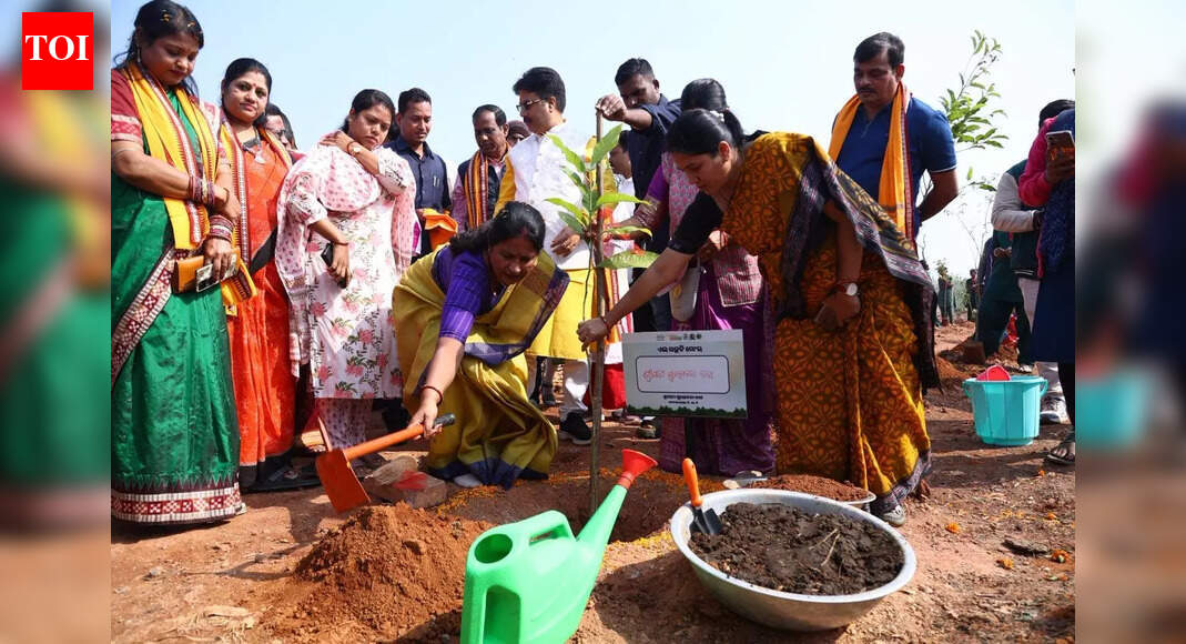 BMC initiates massive plantation drive to improve city air quality