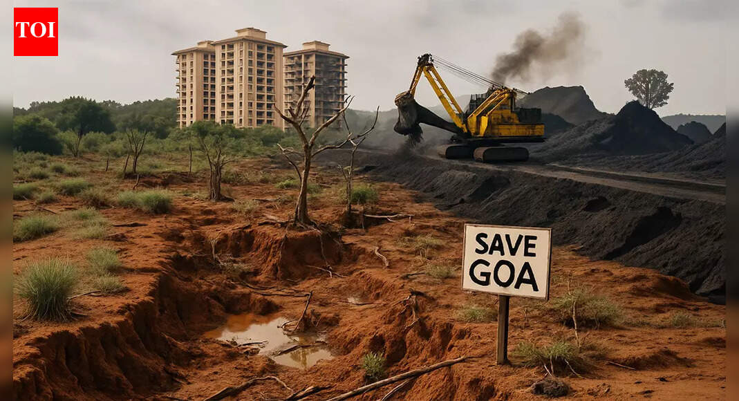 Who Killed Goa? Not Just Luthra Bros