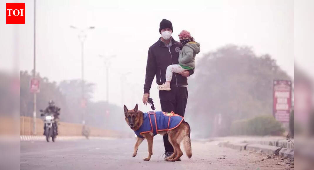 Delhi AQI back to very poor after wind speed dips