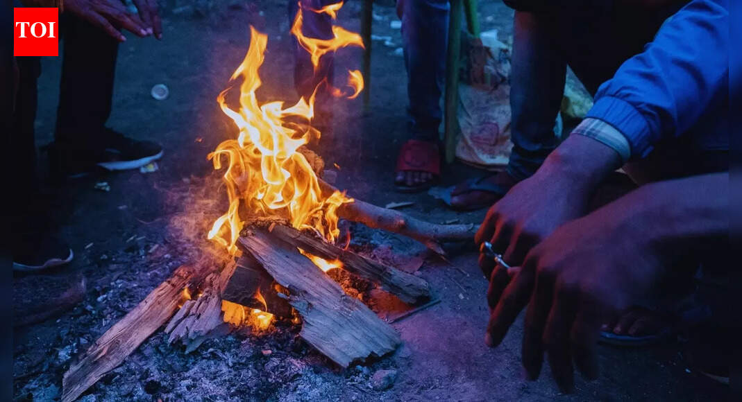 IMD predicts winter fog, cold waves and coastal winds: What travellers need to know