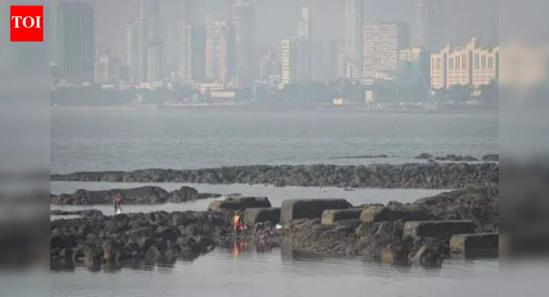 Navi Mumbai: Panvel civic body to set up Divyang Wellness Centre for people with disabilities