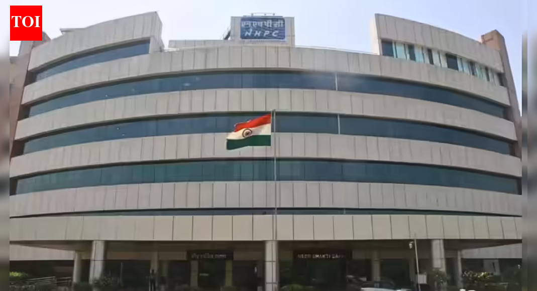 NHPC denies offering forest land as collateral to raise funds