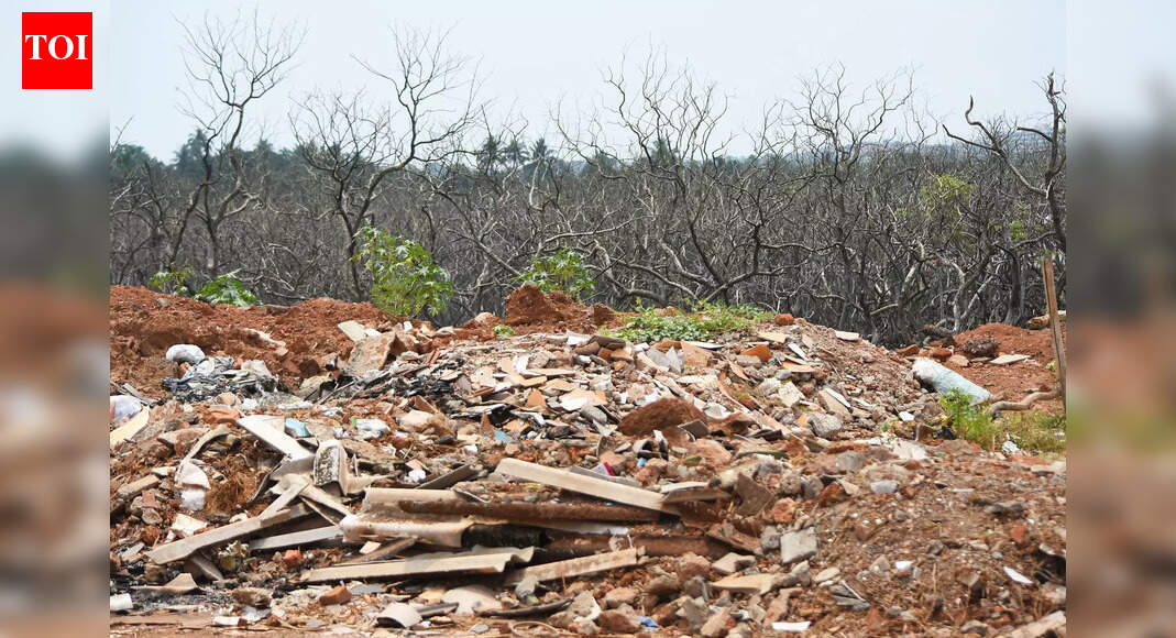 Mangrove buffer zone not applicable to pre-CZMP 2011 structures: Coastal body