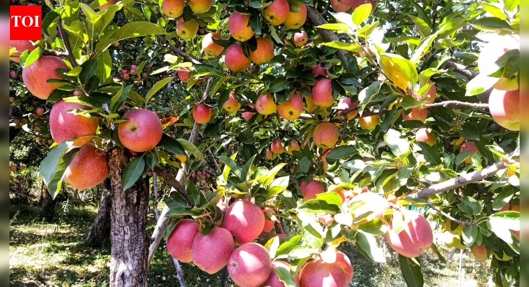 First time after ‘apple orchards-cancer report’, Kashmir leaders meet to discuss ‘grave’ issue, form policy