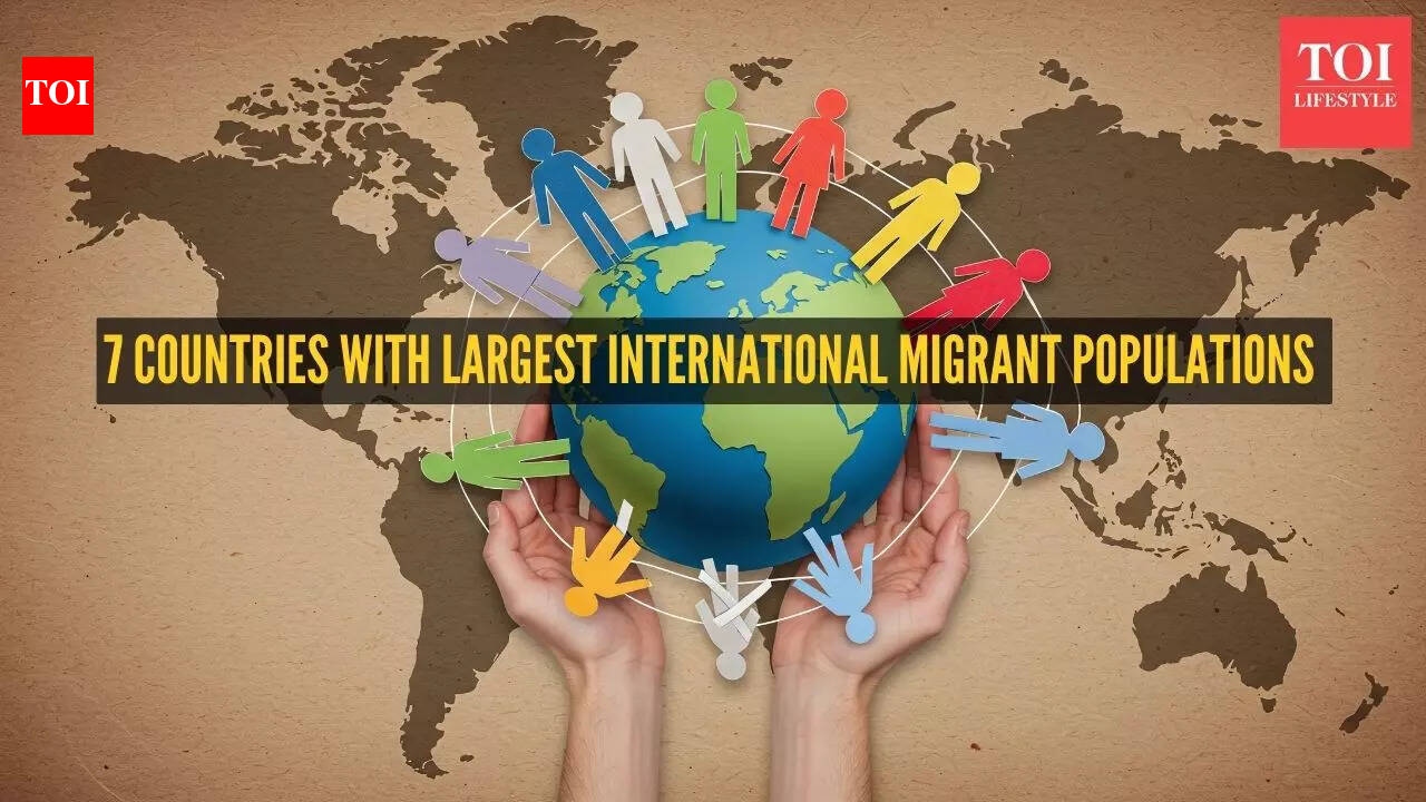 7 countries with the largest international migrant populations