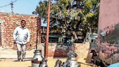  How murder-accused tag has made them unemployable despite bail in Akhlaq case