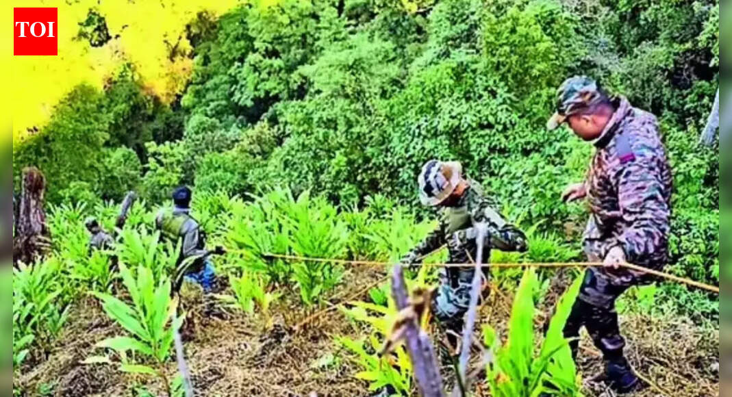 How Arunachal tragedy unfolded: Survivor’s 4km trek revealed deadly truck accident; 19 killed, 2 missing