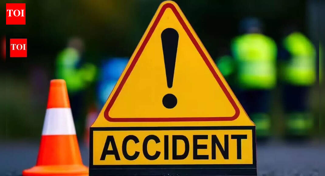 Andhra Pradesh pilgrimage turns tragic: At least 10 dead as bus falls into gorge; rescue ops launched