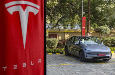 Rough November for Elon Musk's Tesla: US sales sink to nearly 4-year low; cheaper EV versions fail to spark demand