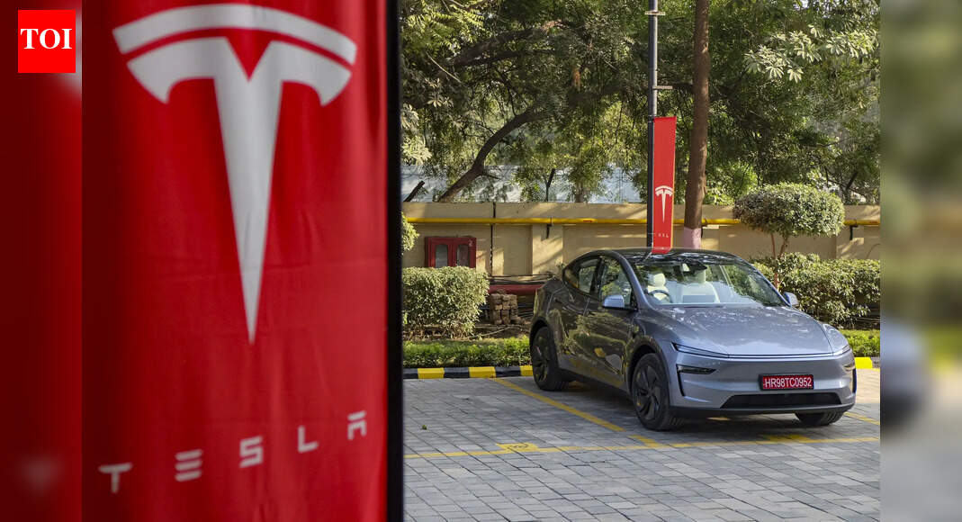 Rough November for Elon Musk's Tesla: US sales sink to nearly 4-year low; cheaper EV versions fail to spark demand